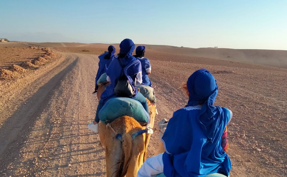 Dromedari nel Sahara marocchino