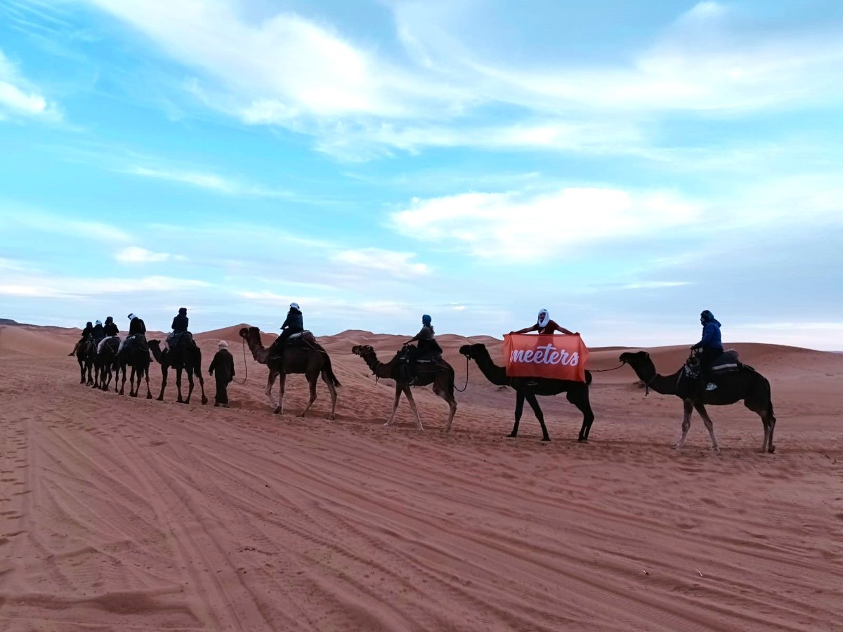 Carovana Meeters sui dromedari nel Sahara